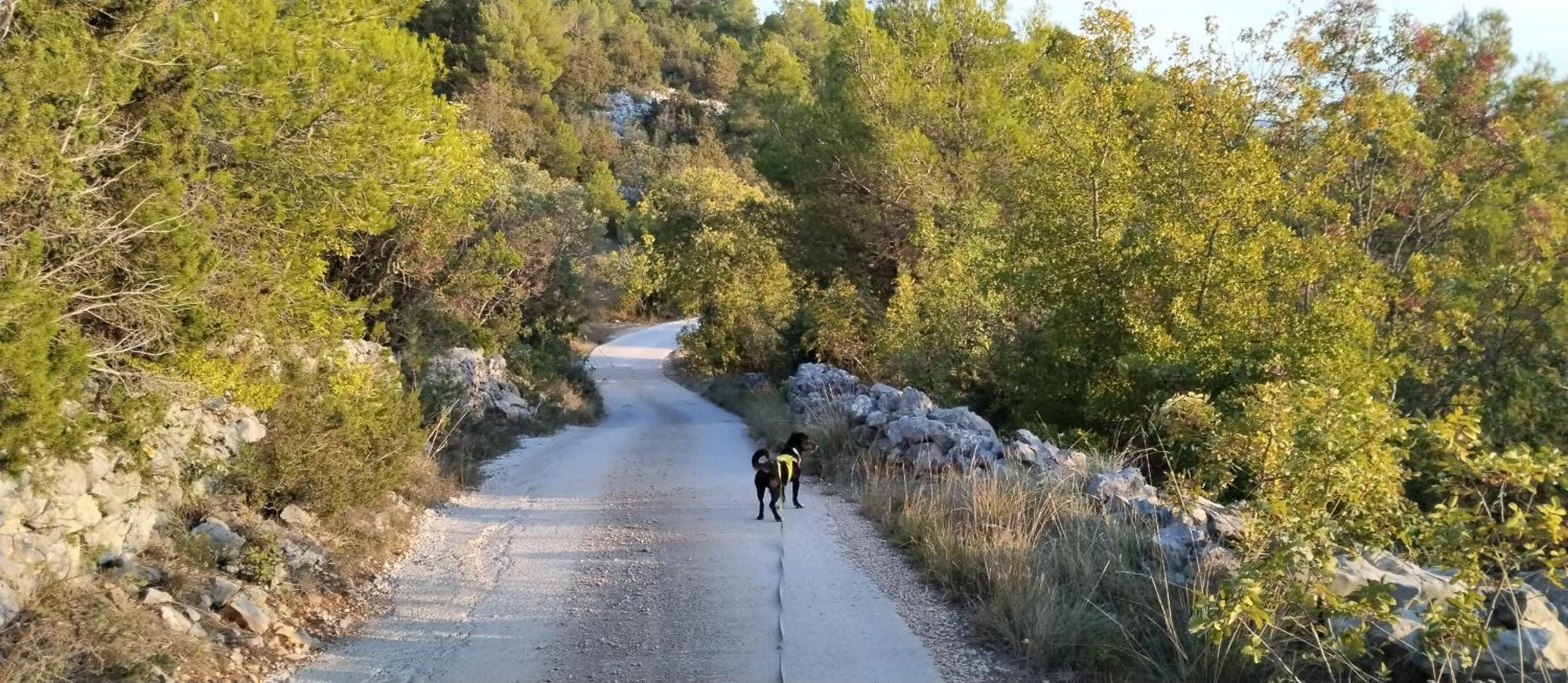 Kuca Mali Raj - Little Paradise Šibenik Exteriör bild