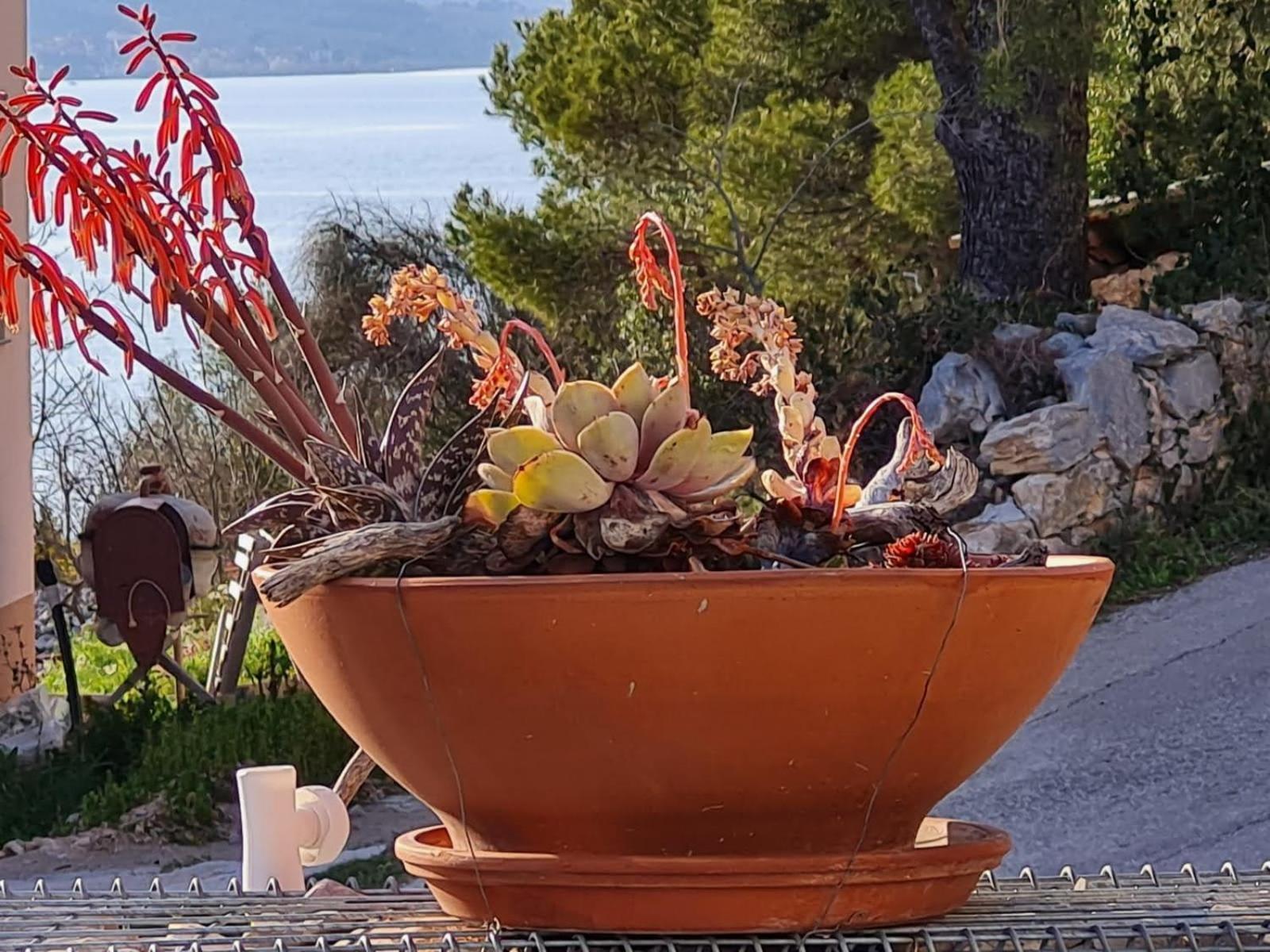 Kuca Mali Raj - Little Paradise Šibenik Exteriör bild